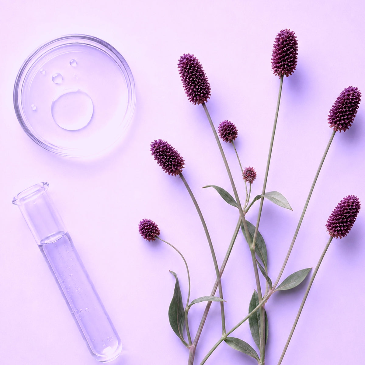 Botaniplex® BALANCE SA – Patented Technology for Microbiome Balance