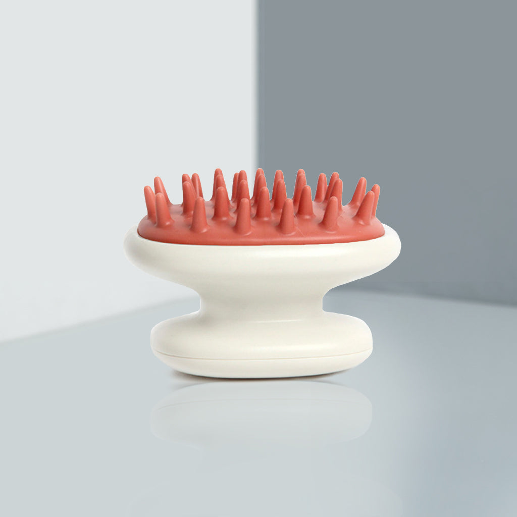 Dandruff Therapy Kit: Shampoo + Brush